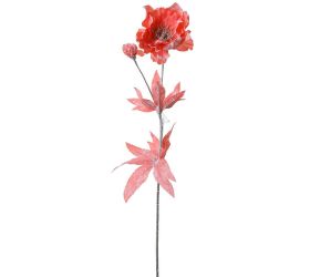 Ks anemonka coral 60cm
