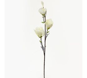 Ks magnólia biela 82cm