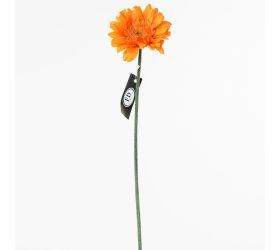 Ks gerbera oranžová 45cm