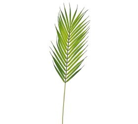 List palmový 64cm