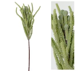 Ks brunia 67cm