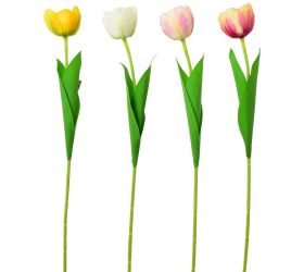 Ks tulipán 4f 56cm