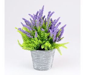 Levanduľa v črepníku fialová 23cm