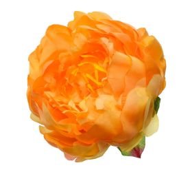 Hlava pivoňka oranžová p:10cm bal:12ks