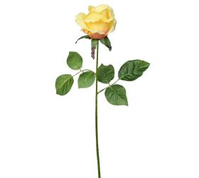 Ks ruža sv.oranž. 45cm