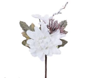 Ks dahlia biele