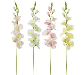 Ks gladiola 4f 80cm