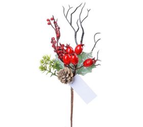 Zápich červ bobule