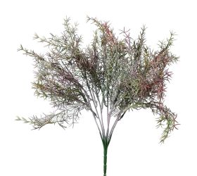 Zápich asparagus fialový 37cm