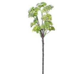 Zápich sedum elegans biele 35cm