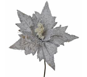 Ks poinsettia zasnežená sivá 23cm
