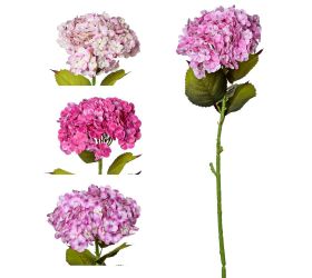 Ks hortenzia mix 4f 80cm