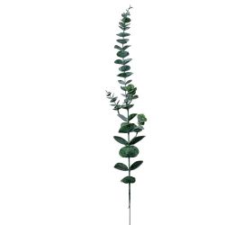Ks eucalyptus 69cm