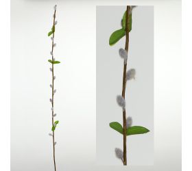 Ks bahniatka šedá 75cm