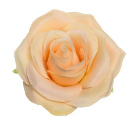 Hlava ruža marhuľová p:7cm bal:24ks