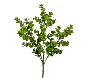 Zápich eukalyptus zelený 35cm