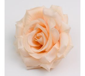 Hlava ruža marhuľová p:9cm bal:24ks