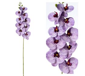 Orchidea phalenopsis fialová 96cm