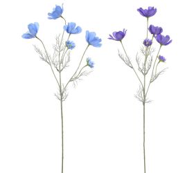 Ks cosmos mix/f60cm