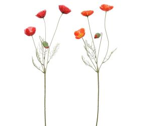 Ks papaver 4-st mix/f 60cm