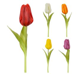 Ks tulipán mix/f 24cm