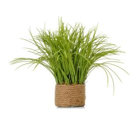 Kvetináč juta, okrasná tráva zelená 28cm