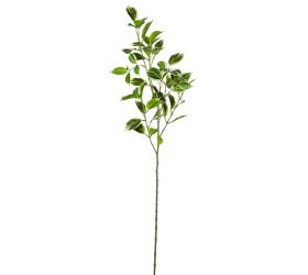 Konár zeleň  listy panašované bielo/zelené 75cm