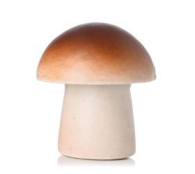 Hríbik hnedý penový 9x8x8cm