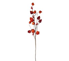 Vetvička physalis oranžový 70*20*6cm