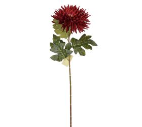 Ks chryzantéma bordo 71cm