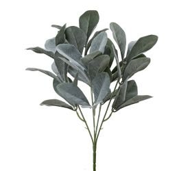 Zeleň listy oválne sivo-zelené 36cm