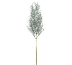 Konár tuja zeleno-biela 64cm