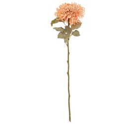 Ks chryzantéma bl. oranžová strapatá 65cm