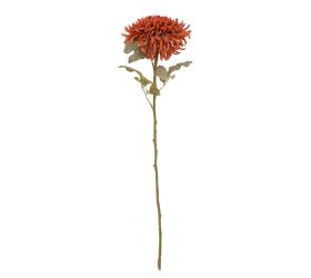Ks chryzantéma tehlová strapatá 65cm