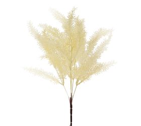 Zeleň asparát krémový 37cm