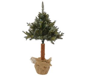 Vianočný stromček na kmeni gh 66 borovica so str.vetvou 120cm