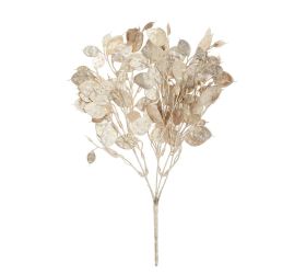 Zeleň lunaria šampaň 37cm