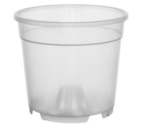 Kontajner orchidea 21cm x 18cm, 4,4l číry 21/725