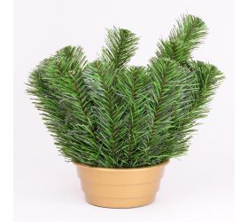 Miska 4/1 srdiečko predĺžené