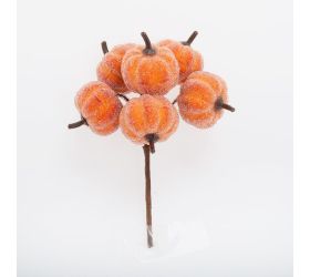 Zápich tekvice ľadové s/6 14cm