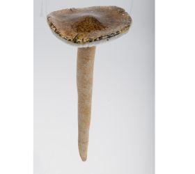 Hríb zel/bie keram. 9,8*9,8*21,3cm