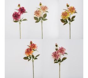 Ks dalia, zeleň mix/5f 68cm