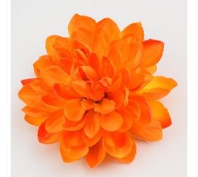 Hlava dhalia oranžová p:11 bal:24ks