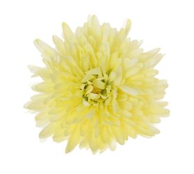 Hlava chryzantéma krém d:16cm bal:12ks