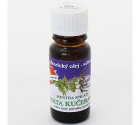 Mäta kučeravá cz