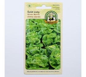 Šalát winter marvel zimný 1g