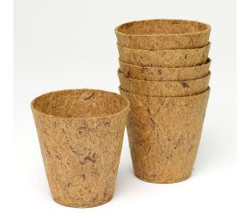 Sada kokos.sadbov 275ml/6ks 8x8cm