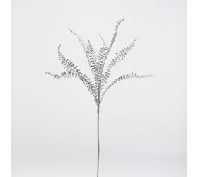 Konár papraď strieborná 62cm