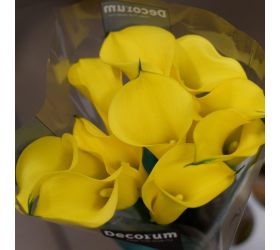 Calla farba/ ks
