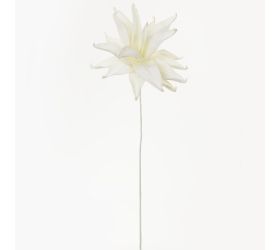 Ks kvet pena biela 95cm